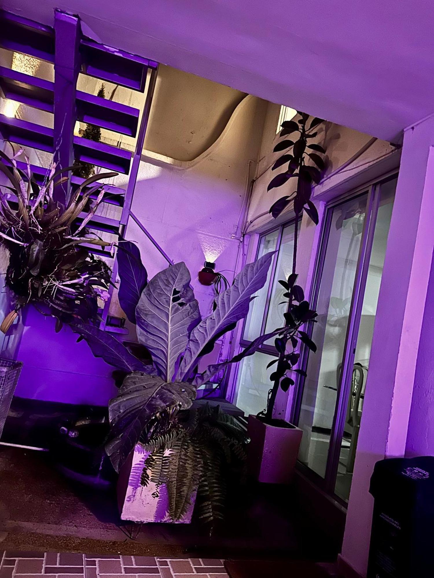 Hostel Brisas Del Nevado Ibagué エクステリア 写真